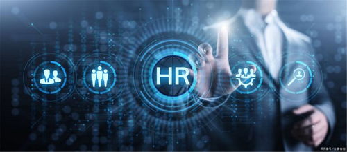 水果銷售公司中人力資源管理的責任歸屬